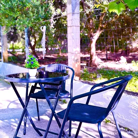 Serenity In Vlore